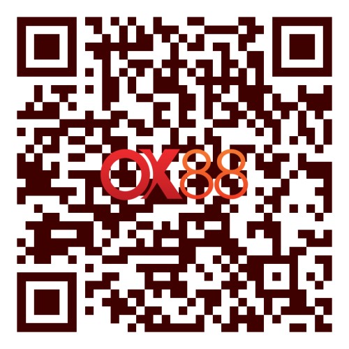 Androi QRcode